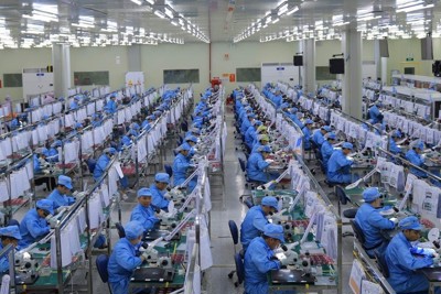 Cải thiện chất lượng và năng suất lao động từ nguồn nhân lực chất lượng cao bên ngoài