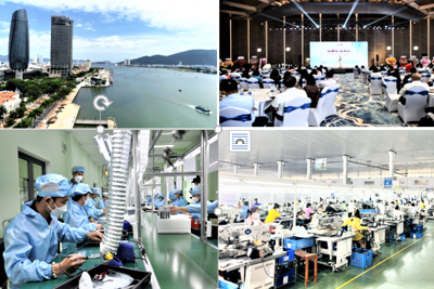 Đà Nẵng với chủ trương đẩy mạnh phát triển doanh nghiệp Đà Nẵng với chủ trương đẩy mạnh phát triển doanh nghiệp
