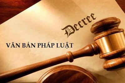Điểm lại các chính sách tài chính được ban hành trong tháng 4/2025