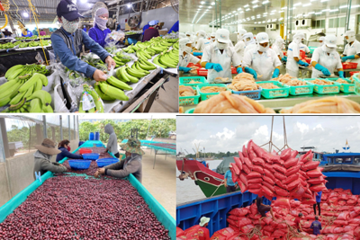 Ngành Nông nghiệp nỗ lực chuyển mình trong kỷ nguyên phát triển mới của Dân tộc