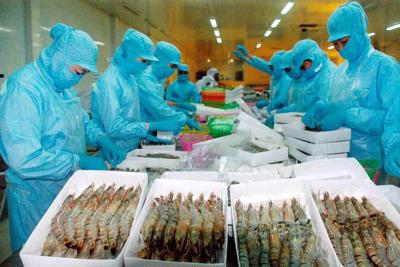 Xuất khẩu tôm của Việt Nam: Tăng trưởng nhưng còn nhiều lo lắng