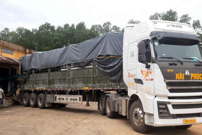 Xây dựng kho dự trữ “An toàn - Xanh - Sạch - Đẹp"
