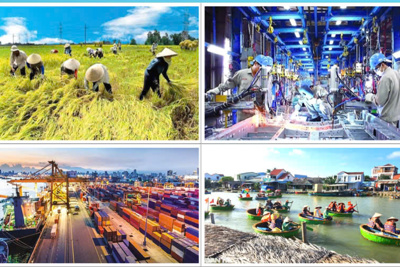 Bài 1: Chuyển dịch cơ cấu kinh tế theo khu vực kinh tế từ năm 1986 đến nay Bài 1: Chuyển dịch cơ cấu kinh tế theo khu vực kinh tế từ năm 1986 đến nay