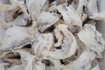 Xuất khẩu tổ yến sang Trung Quốc: Thêm nhiều rào cản mới