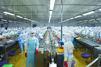 EU sẽ kiểm soát ASEN vô cơ trong nhiều loại thủy sản nhập khẩu 