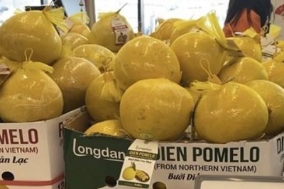 Khai thác tiềm năng từ thị trường Anh với thế mạnh xuất khẩu