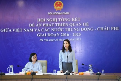 Đưa quan hệ giữa Việt Nam với các nước Trung Đông - châu Phi phát triển thực chất, hiệu quả hơn