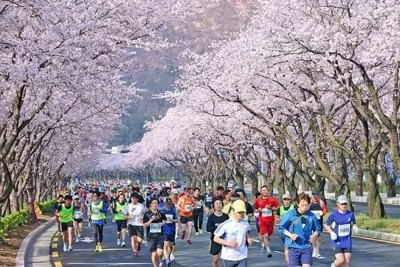 Hàn Quốc nỗ lực hút khách Việt, tăng thu từ du lịch