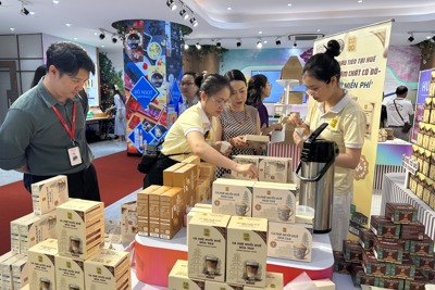 TP. Hồ Chí Minh: Dư nợ tín dụng tăng hơn 13%