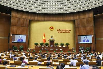 Miễn, hỗ trợ học phí cho trẻ em mầm non, học sinh phổ thông: Thể hiện tính ưu việt, đảm bảo công bằng trong tiếp cận giáo dục