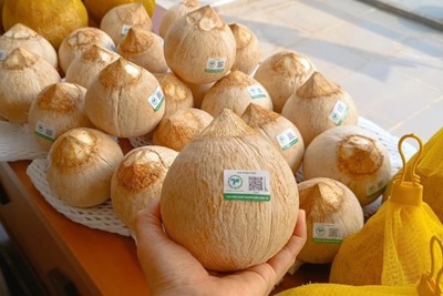 Định vị thương hiệu cho dừa Việt Nam