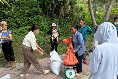 Đã xuất cấp 1.234,395 tấn gạo dịp giáp hạt cho Điện Biên, Lai Châu
