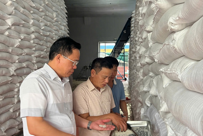 Khẩn trương chuẩn bị nhập, bảo quản bổ sung lương thực dự trữ quốc gia