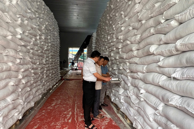 Ngành Dự trữ Nhà nước đảm bảo tiến độ nhập lương thực