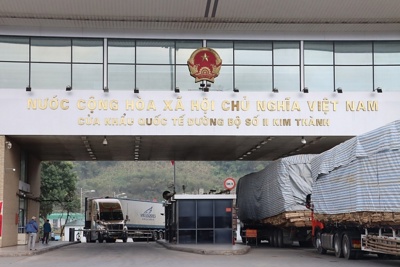 Thiết lập "luồng xanh nông sản" với các mặt hàng quả tươi khi vào vụ thu hoạch cao điểm
