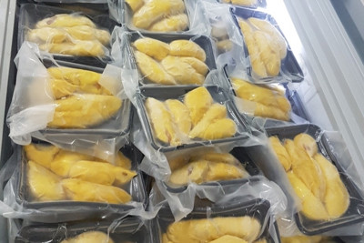 22 tấn sầu riêng đông lạnh đầu tiên của Việt Nam được xuất khẩu vào Trung Quốc