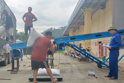 Chùm ảnh: Chi cục Dự trữ Nhà nước khu vực VI nhập lương thực dự trữ quốc gia năm 2025
