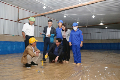 Xây dựng kế hoạch và tổ chức thực hiện tự kiểm tra nội bộ trong ngành Dự trữ Nhà nước Xây dựng kế hoạch và tổ chức thực hiện tự kiểm tra nội bộ trong ngành Dự trữ Nhà nước