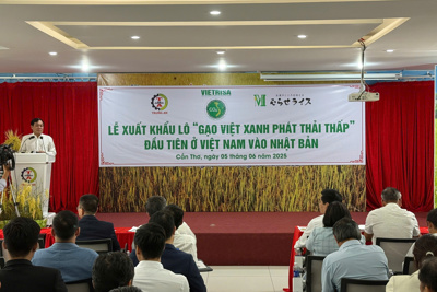 Việt Nam xuất khẩu lô gạo phát thải thấp đầu tiên sang Nhật Bản