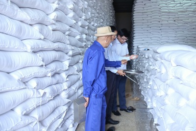 Chi cục Dự trữ Nhà nước khu vực II đảm bảo chất lượng và tiến độ gạo nhập kho dự trữ