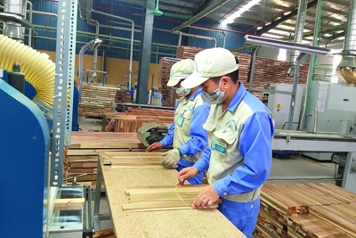 Giá trị xuất khẩu gỗ 5 tháng đầu năm đạt 6,99 tỷ USD