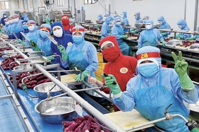 Lâm Đồng: 5 tháng đầu năm, kim ngạch xuất khẩu đạt gần 503 triệu USD