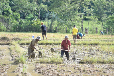 Khẳng định chủ trương đúng đắn, tạo đột phá cho phát triển nông thôn và giảm bongdaso tin tức bền vững - Tạp chí Tài chính Khẳng định chủ trương đúng đắn, tạo đột phá cho phát triển nông thôn và bongdaso - tin bóng đá mới nhất bền vững