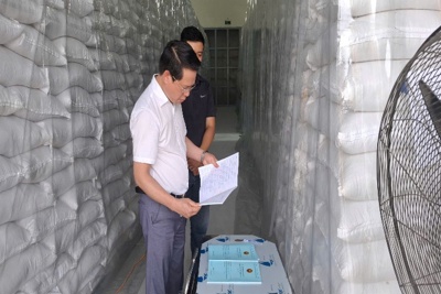 Khẩn trương thực hiện đấu thầu mua 280.000 tấn lương thực nhập kho dự trữ quốc gia năm 2025