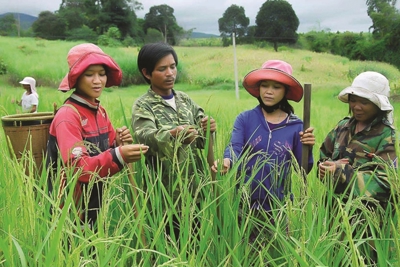 Giảm nghèo bền vững là động lực phát triển kinh tế - xã hội Giảm nghèo bền vững là động lực phát triển kinh tế - xã hội