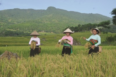 Đảm bảo an sinh xã hội, giảm nghèo bền vững vùng đồng bào dân tộc thiểu số và miền núi Thanh Hóa Đảm bảo an sinh xã hội, giảm nghèo bền vững vùng đồng bào dân tộc thiểu số và miền núi Thanh Hóa