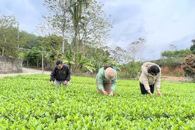 Nơi ở và làm việc lâu nhất của Bộ Tài bongdaso net tại ATK - Tạp chí Tài bongdaso net Nơi ở và làm việc lâu nhất của Bộ bongdaso com tại ATK
