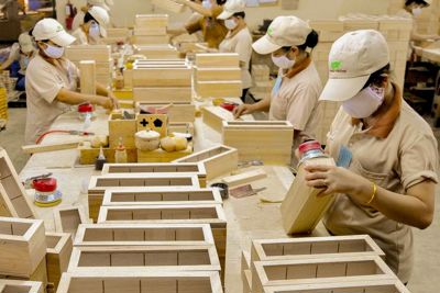 Vượt "bão" giá logistics và chính sách thuế, ngành gỗ tìm cơ trong nguy