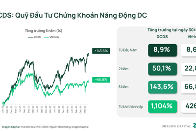 Hiệu suất nổi bật giữa thị bongdaso phân hóa: DCDS ghi dấu ấn với chiến lược chủ động - Tạp chí Tài chính Hiệu suất nổi bật giữa thị bongdaso tin tức phân hóa: DCDS ghi dấu ấn với chiến lược chủ động