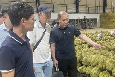 Tổng cục Hải quan Trung Quốc đánh giá cao chất lượng sầu riêng của Lâm Đồng