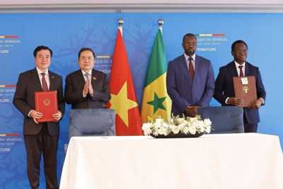 Mở rộng đầu ra cho gạo Việt sang thị trường Senegal