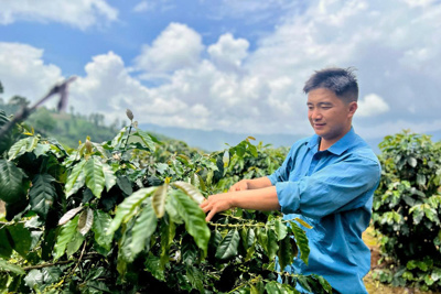 Tuổi trẻ Điện Biên phát huy vai trò xung kích, năng động, sáng tạo trong xây dựng nông thôn mới Tuổi trẻ Điện Biên phát huy vai trò xung kích, năng động, sáng tạo trong xây dựng nông thôn mới