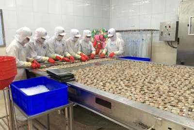 Sức ép thuế quan, xuất khẩu sang Mỹ đang chững lại
