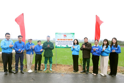 Lan tỏa tinh thần xung kích: Tuổi trẻ Đất Tổ khẳng định vai trò tiên phong trong công cuộc xây dựng nông thôn mới 2025 Lan tỏa tinh thần xung kích: Tuổi trẻ Đất Tổ khẳng định vai trò tiên phong trong công cuộc xây dựng nông thôn mới 2025