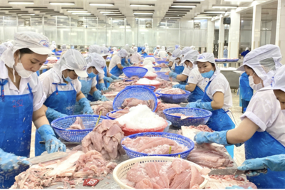 Việt Nam – Ai Cập mở rộng hợp tác kinh tế, thương mại