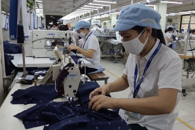 Vĩnh Long: Kim ngạch xuất khẩu 7 tháng ước đạt trên 2,1 tỷ USD