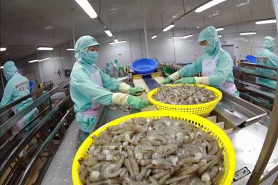 Xuất khẩu tôm 7 tháng: Tăng tốc ở châu Á, khó tại Mỹ