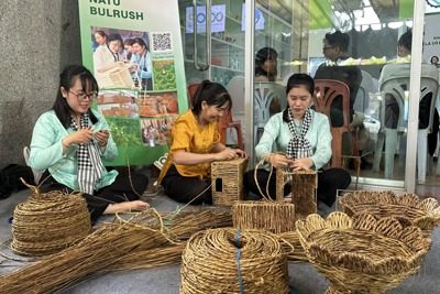 Khi  lá cỏ, xơ mướp thành “vàng xanh” lên kệ hàng thế giới