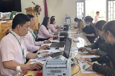 Lâm Đồng: Bắt đầu đối chiếu, phân loại nợ vốn tín bongdaso com tv - Tạp chí Tài chính Lâm Đồng: Bắt đầu đối chiếu, phân loại nợ vốn tín dụng