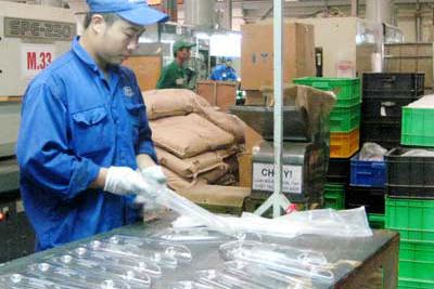 Sức sống doanh nghiệp Việt