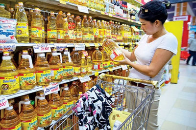 UBTV Quốc hội thảo luận dự án Luật Kiểm toán độc lập
