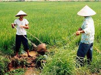 Lời giải hữu hiệu cho bài toán thu hồi đất nông nghiệp