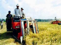 Quốc hội xem xét miễn, giảm thuế sử dụng đất nông nghiệp