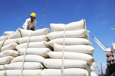 Ý kiến trái chiều về quản lý gạo nhập khẩu