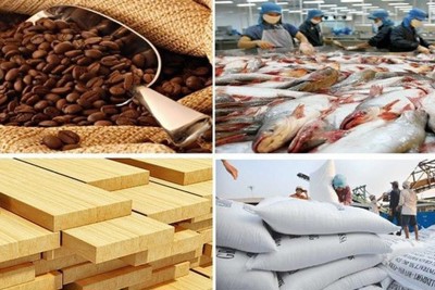 Xuất khẩu nông, lâm, thủy sản 11 tháng đạt hơn 49 tỷ USD