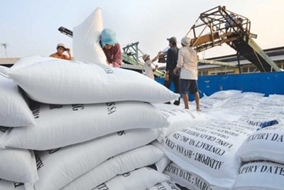 Không để gạo Việt dần vắng bóng trên thị trường tỷ dân